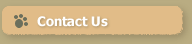 Conact Us