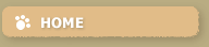 Home Hover Button