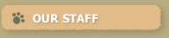 Our Staff