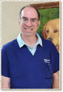 Dr Jeff Mitchell